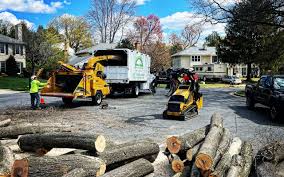 Best Utility Line Clearance  in Higginsville, MO