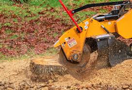 Best Lawn Watering Services  in Higginsville, MO